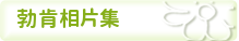 勃肯相片集